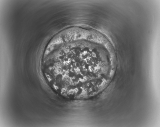 X0000088670145200706211857