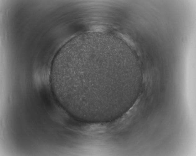 X0000088670146200706211857