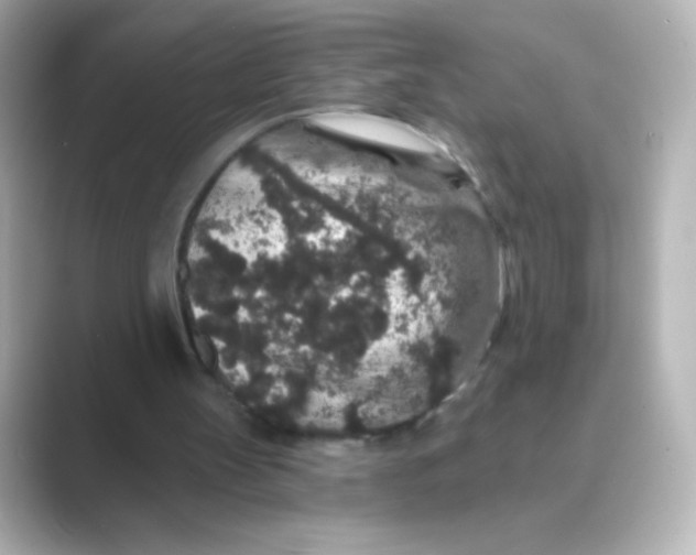 X0000088670147200706211857