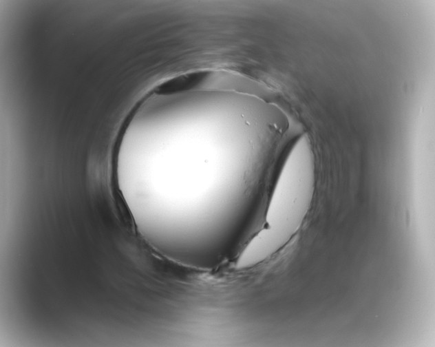 X0000088670148200706211857