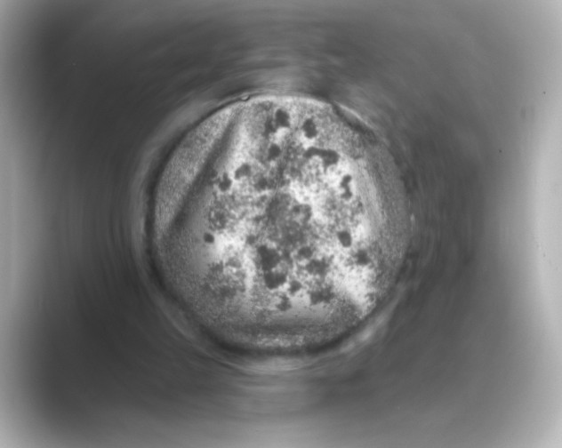X0000088670149200706211857