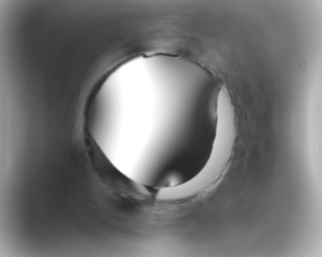 X0000088670150200706211857