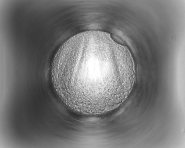 X0000088670153200706211857