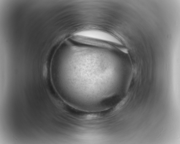 X0000088670158200706211857