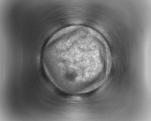 X0000088670159200706211857