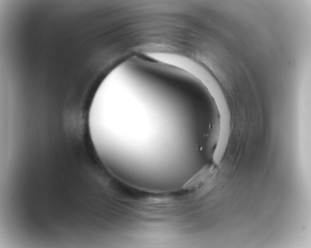 X0000088670160200706211857