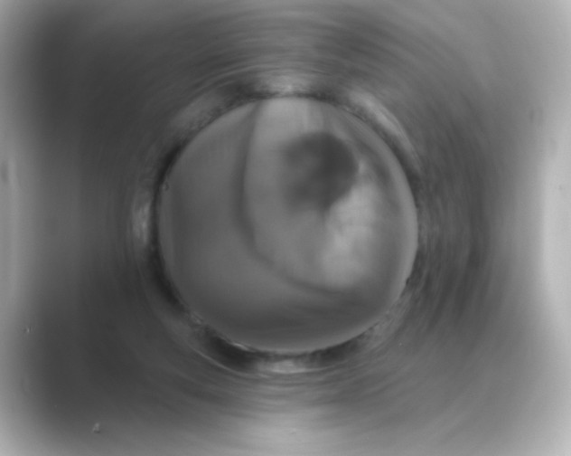 X0000088670163200706211857
