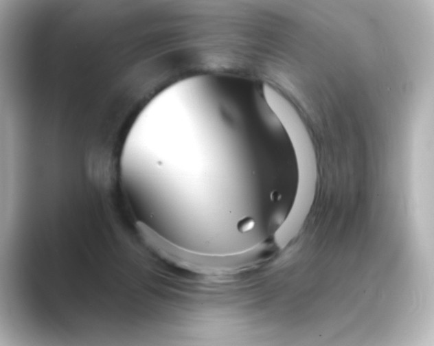 X0000088670164200706211857