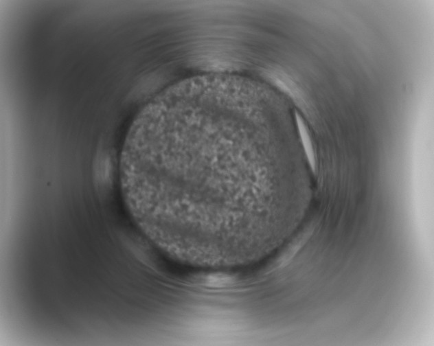 X0000088670165200706211857