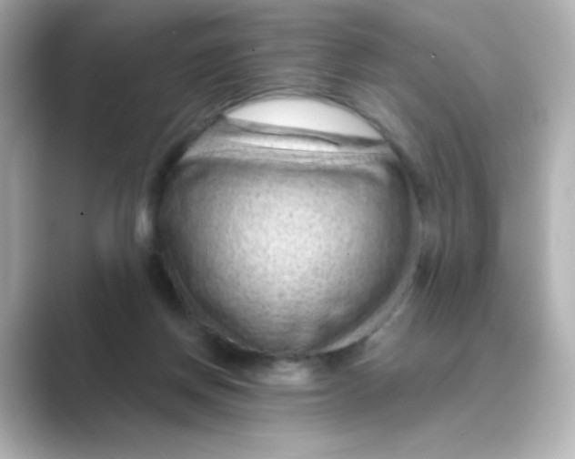 X0000088670166200706211857