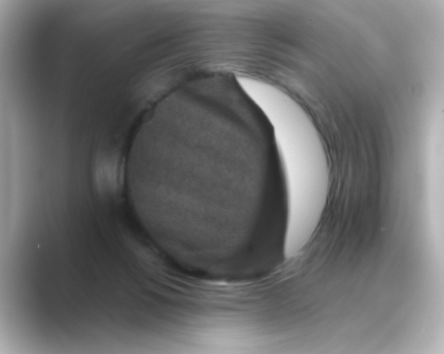 X0000088670168200706211857
