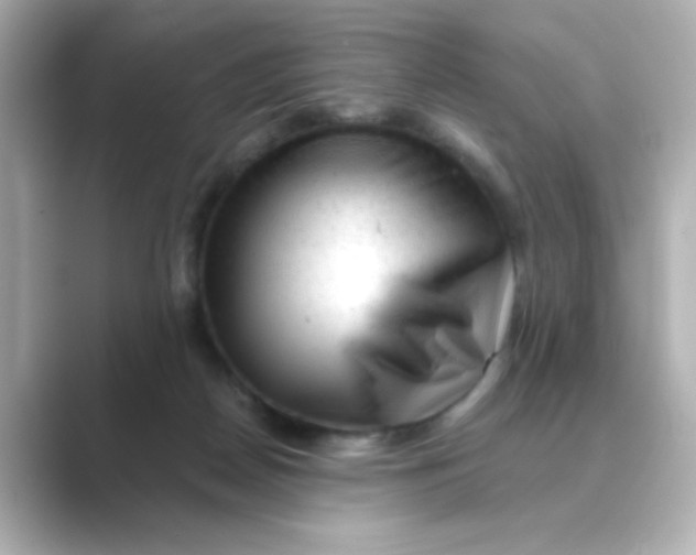 X0000088670170200706211857