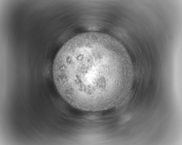 X0000088670175200706211857