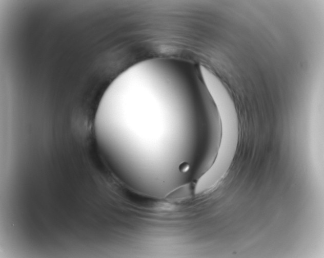 X0000088670176200706211857