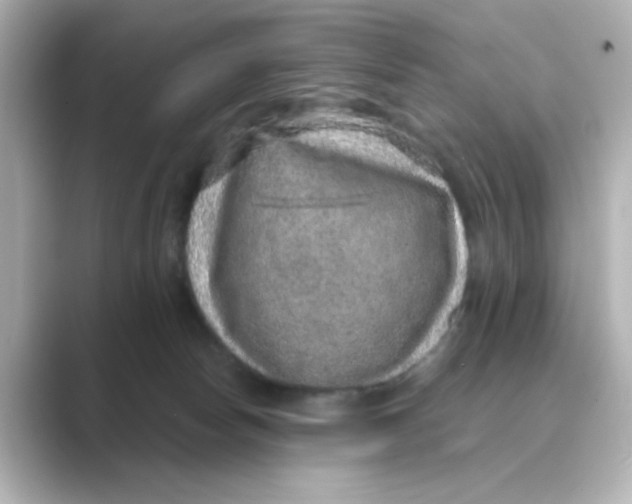 X0000088670178200706211857