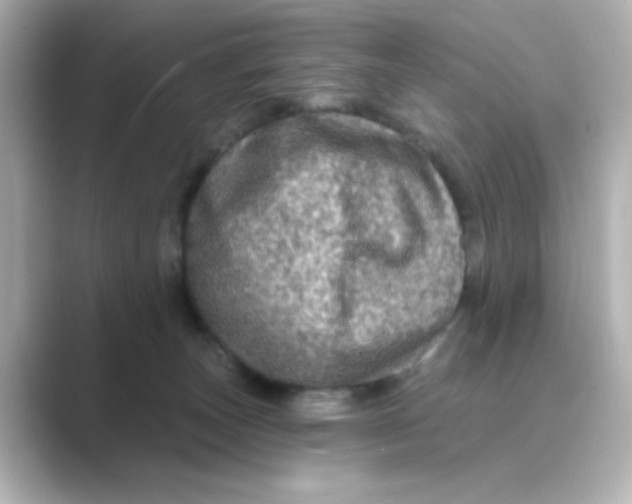 X0000088670179200706211857