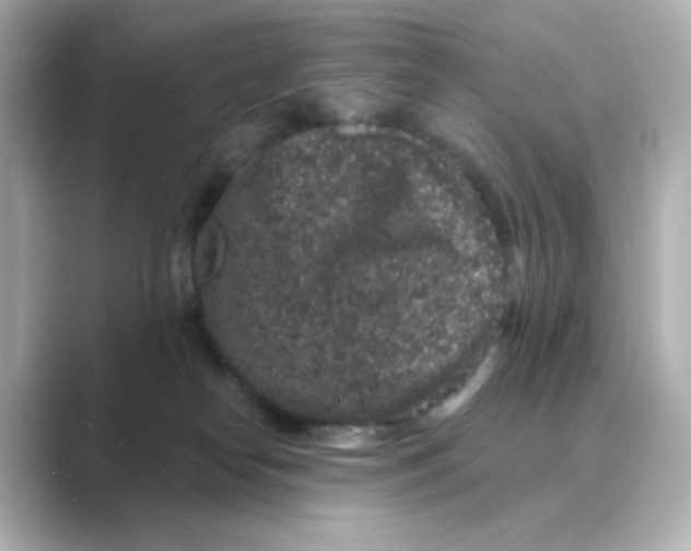 X0000088670182200706211857