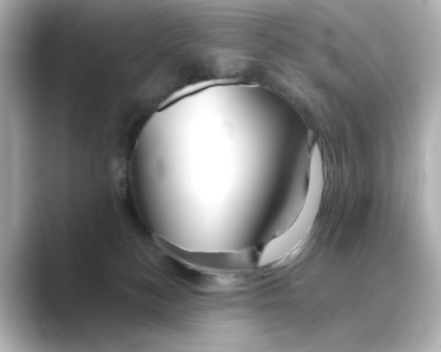 X0000088670184200706211857