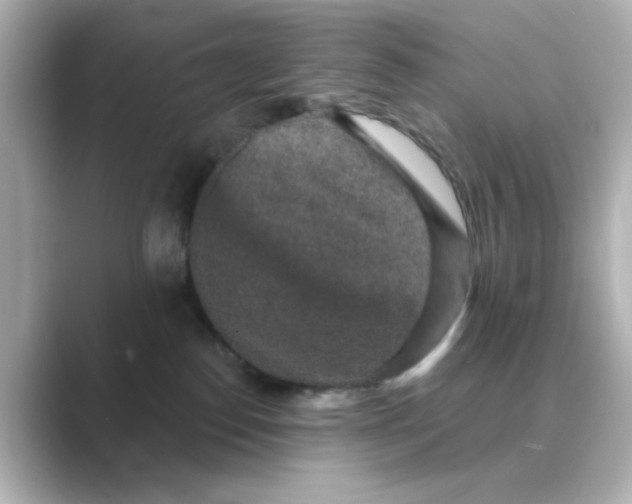 X0000088670186200706211857