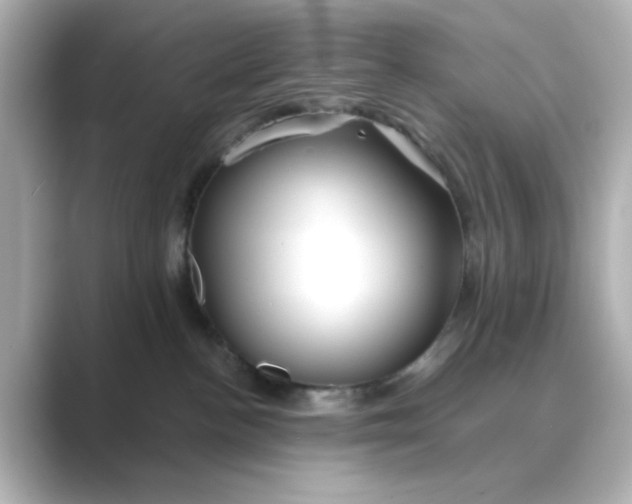 X0000088670188200706211857