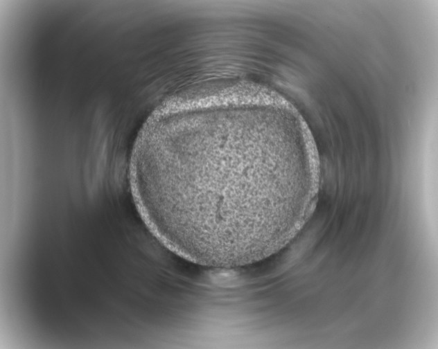 X0000088670189200706211857