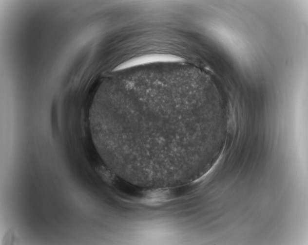 X0000088670191200706211858