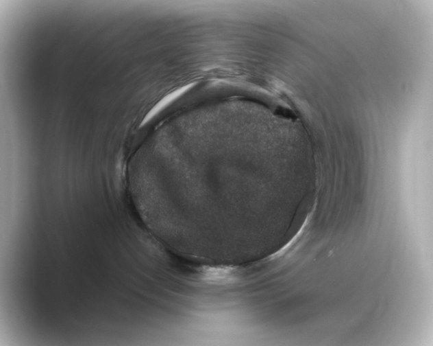 X0000088670192200706211858