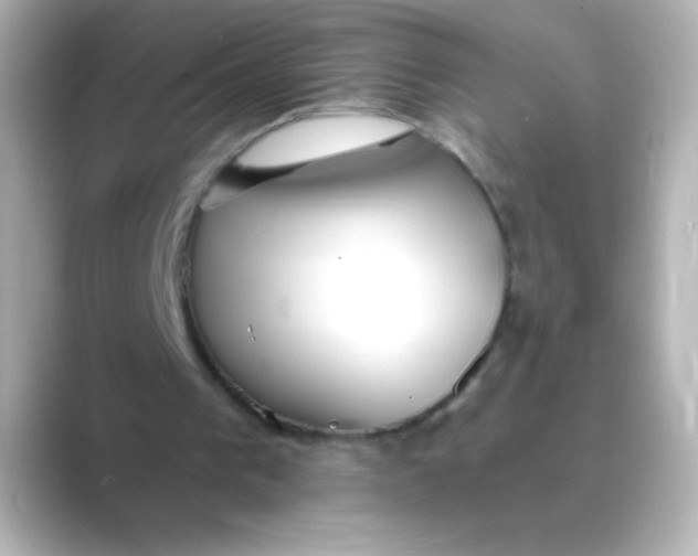 X0000088670193200706211857