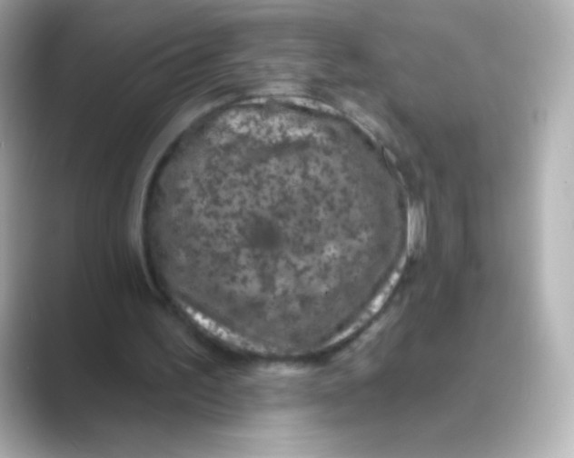 X0000088670195200706211857
