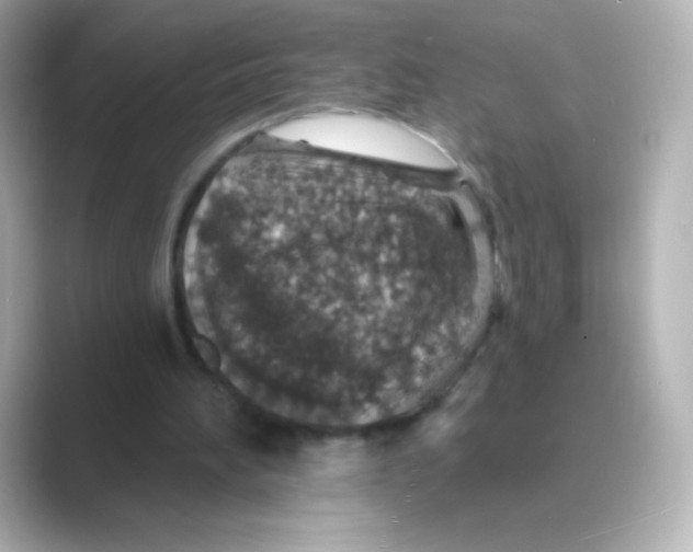 X0000088670196200706211857