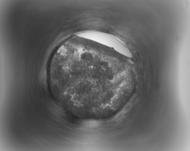 X0000088670198200706211857