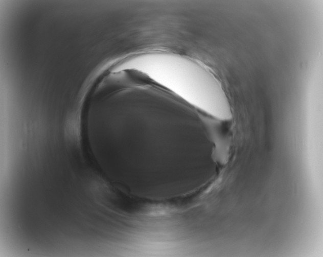 X0000088670200200706211857