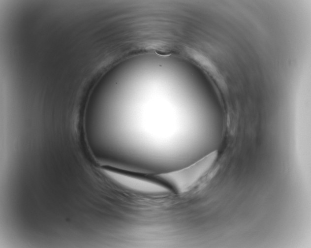 X0000088670201200706211857