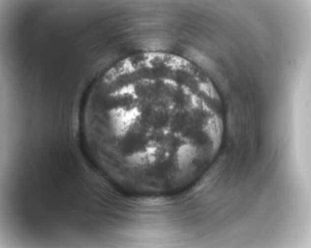 X0000088670202200706211857