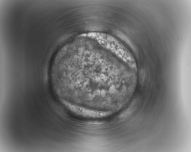 X0000088670203200706211857