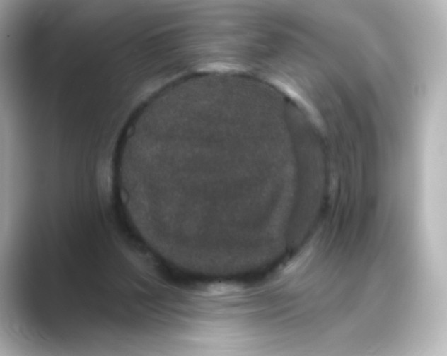 X0000088670204200706211857