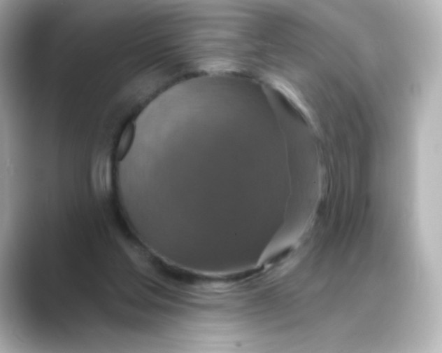 X0000088670205200706211857