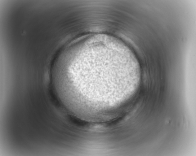 X0000088670208200706211857