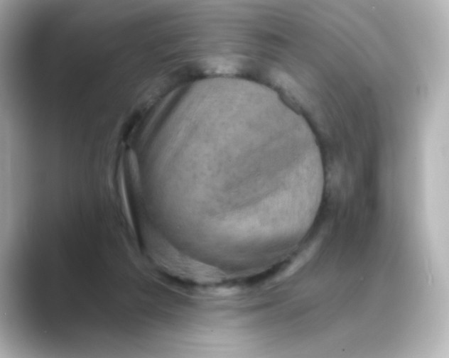 X0000088670209200706211857
