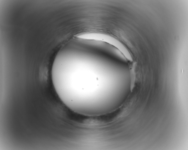 X0000088670211200706211857