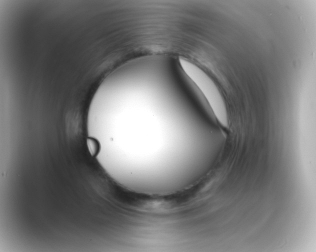 X0000088670212200706211857