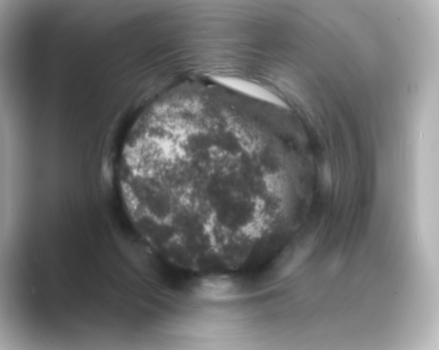 X0000088670214200706211857
