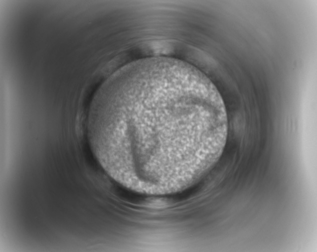 X0000088670218200706211857