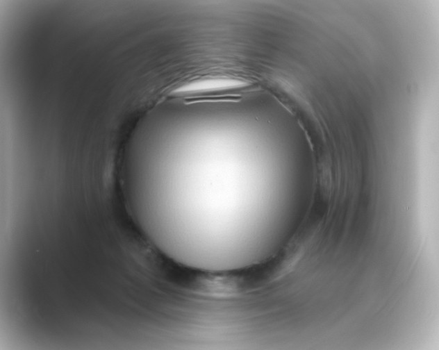 X0000088670221200706211857