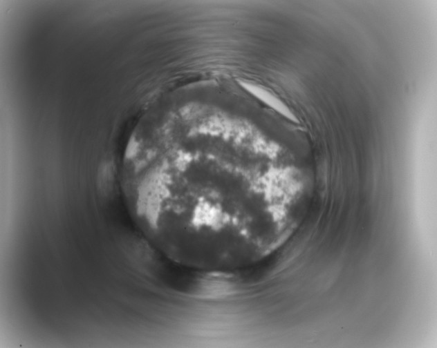 X0000088670222200706211857