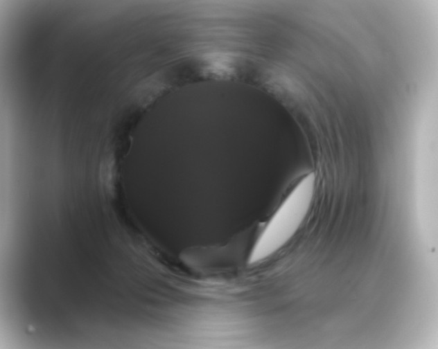 X0000088670223200706211857