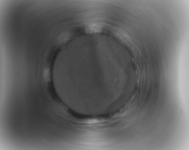 X0000088670224200706211857