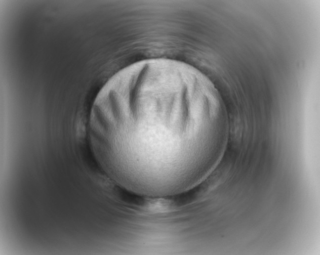 X0000088670226200706211857