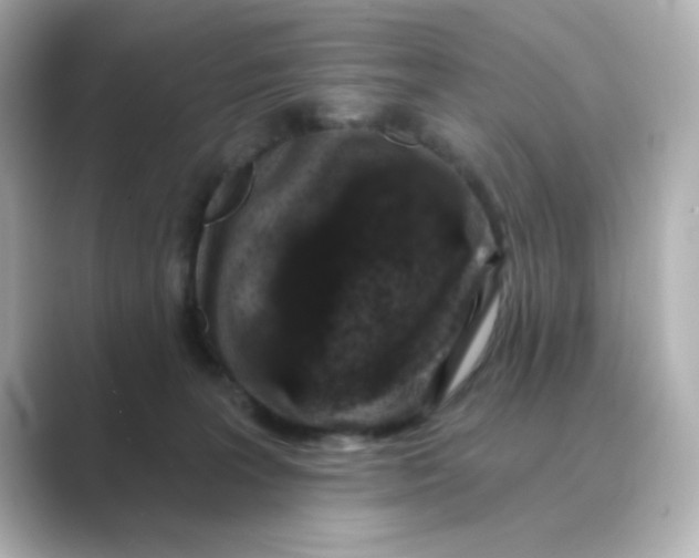 X0000088670227200706211857