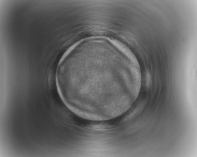 X0000088670228200706211857